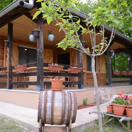 Brvnare Dunja 1 I Dunja 2 Villa Kraljevo Exterior photo