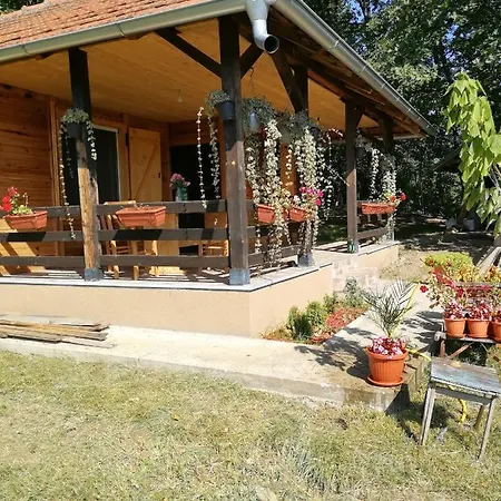 Brvnare Dunja 1 I Dunja 2 Villa Kraljevo Exterior photo