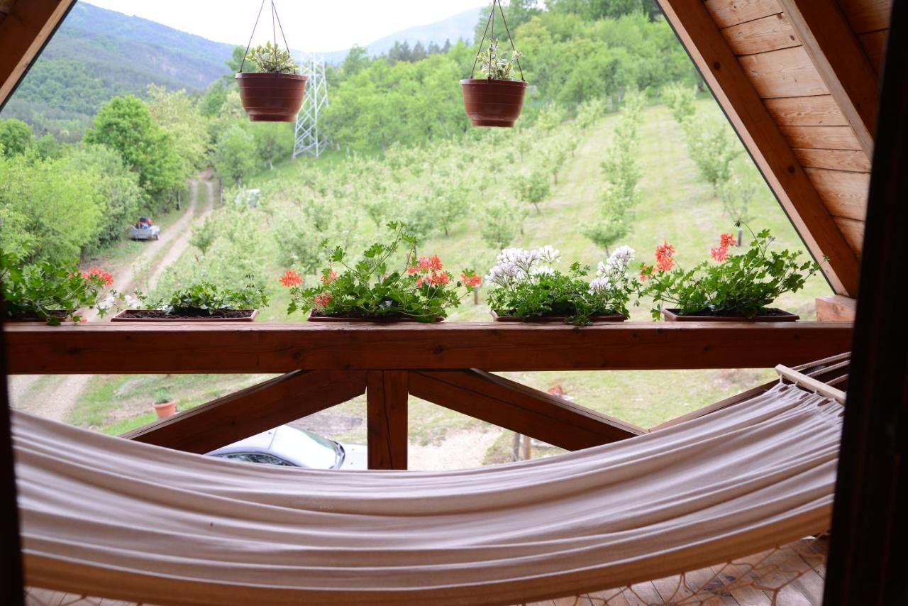 Brvnare Dunja 1 I Dunja 2 Holiday home Kraljevo