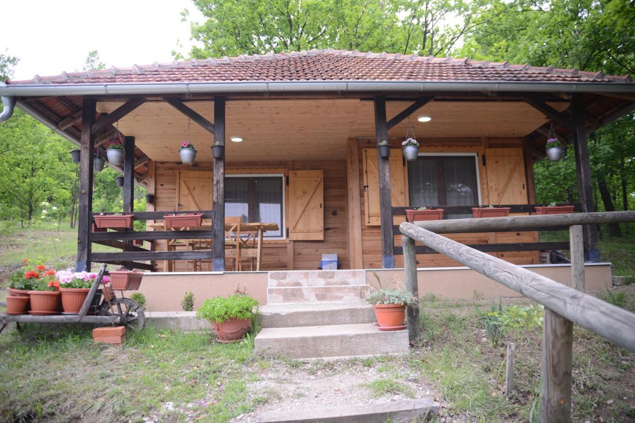 Brvnare Dunja 1 I Dunja 2 Holiday home Kraljevo