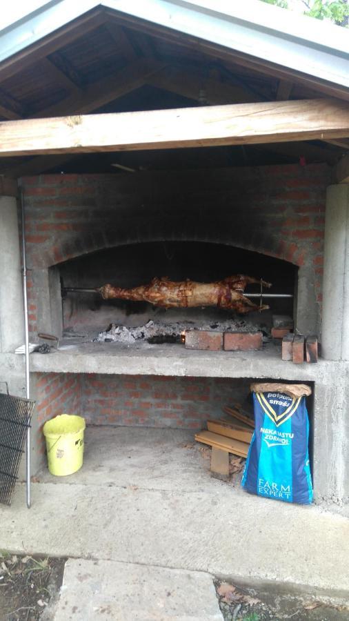 Brvnare Dunja 1 I Dunja 2 Kraljevo