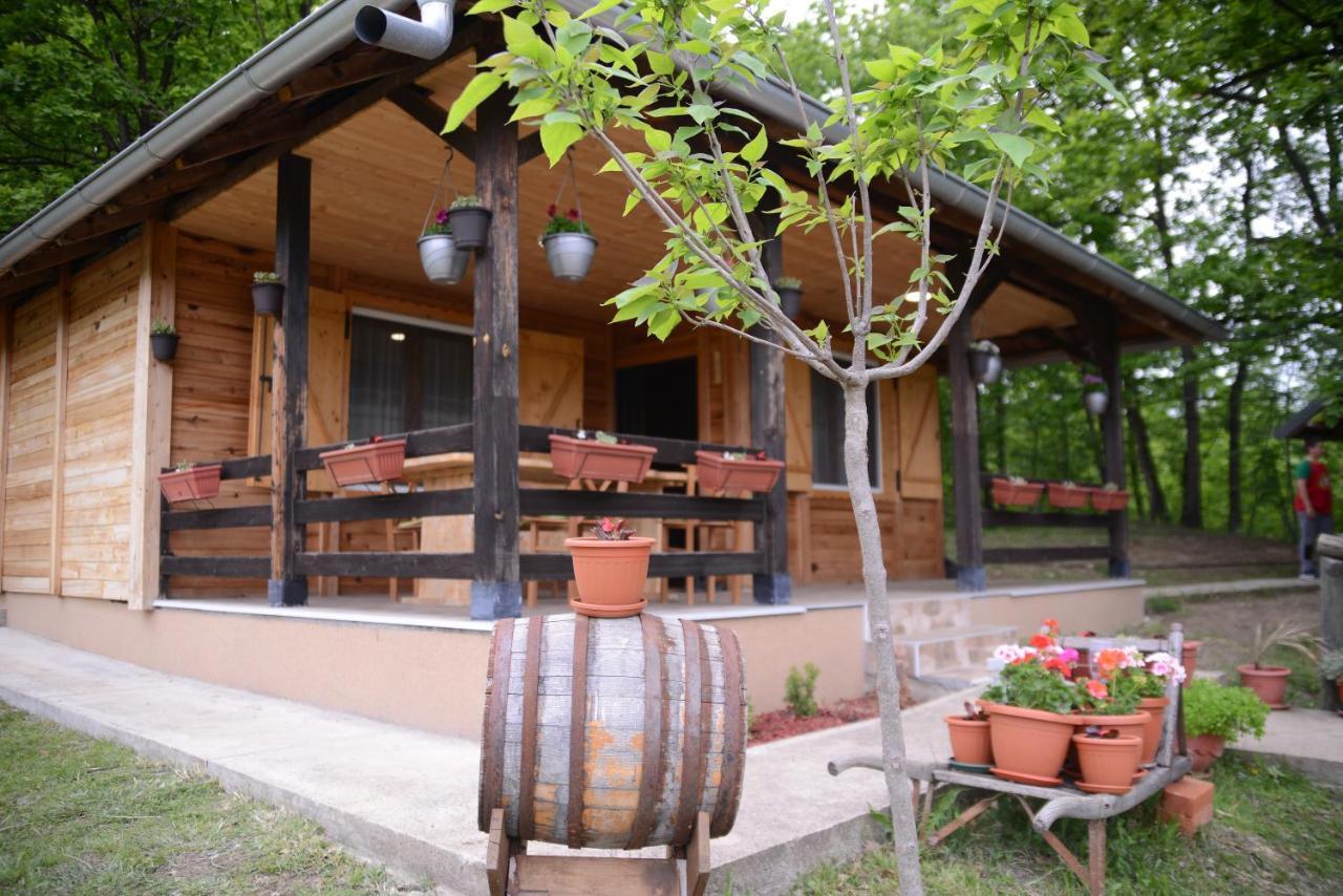 Brvnare Dunja 1 I Dunja 2 Holiday home *