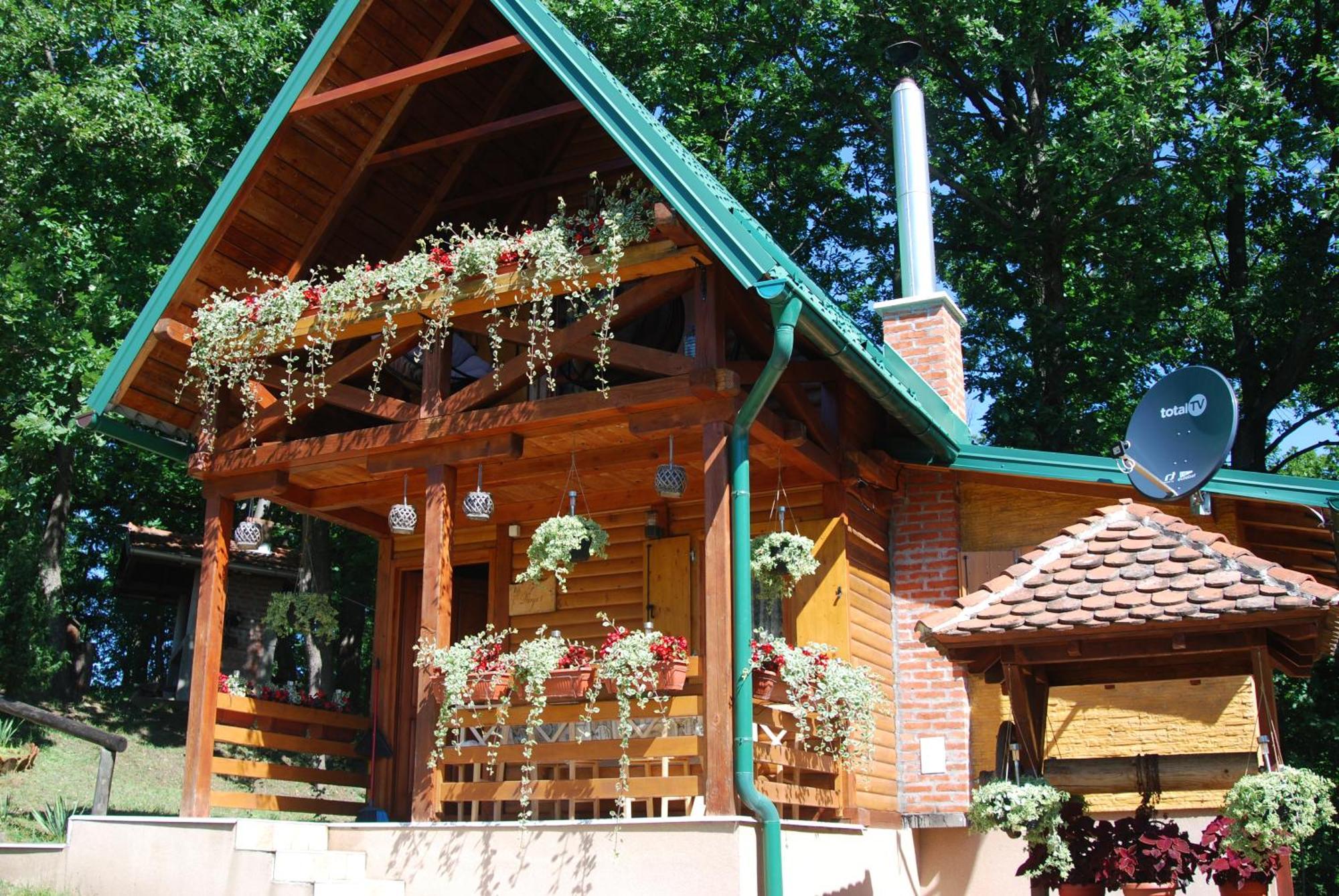 Brvnare Dunja 1 I Dunja 2 Holiday home