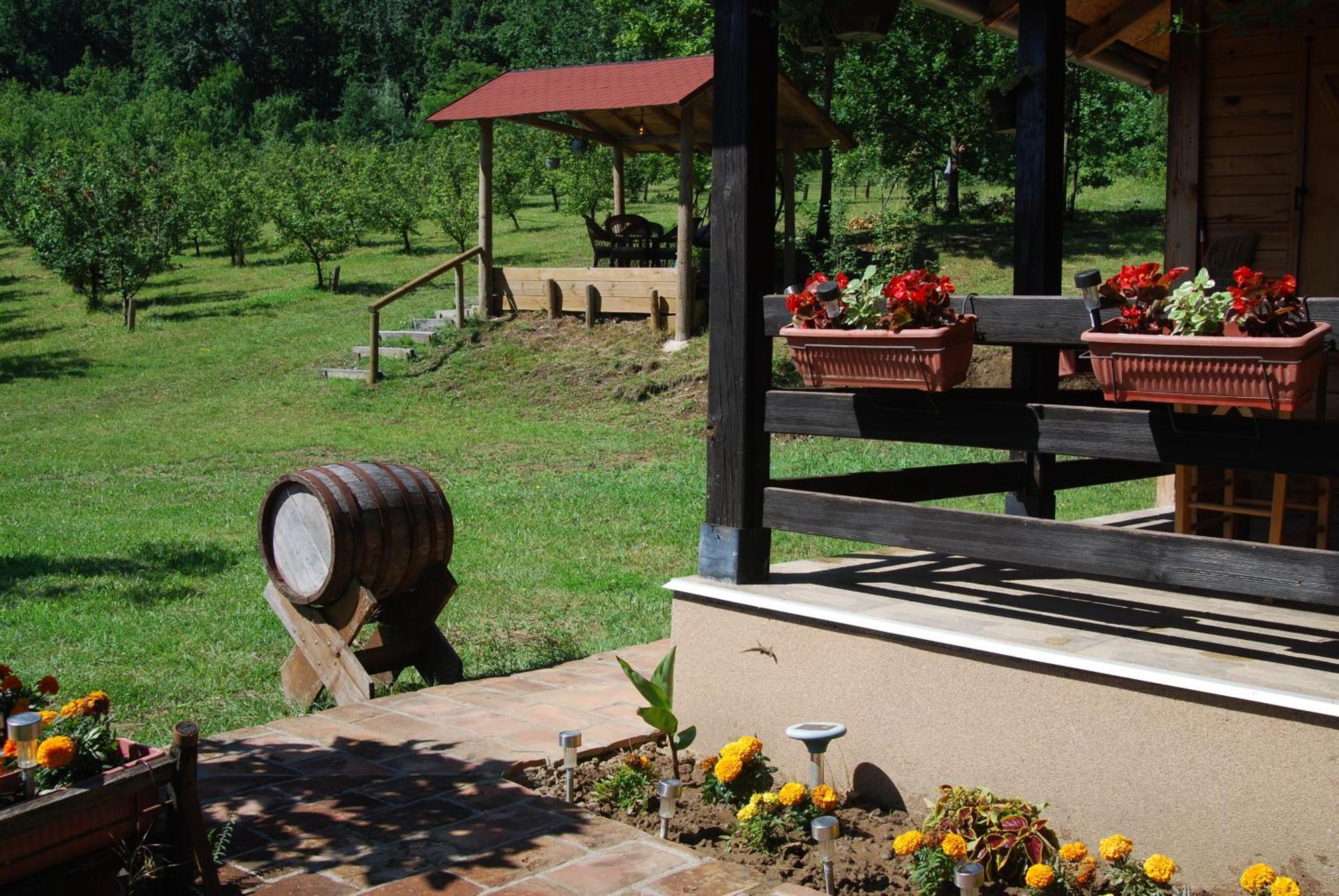 Brvnare Dunja 1 I Dunja 2 Holiday home Kraljevo