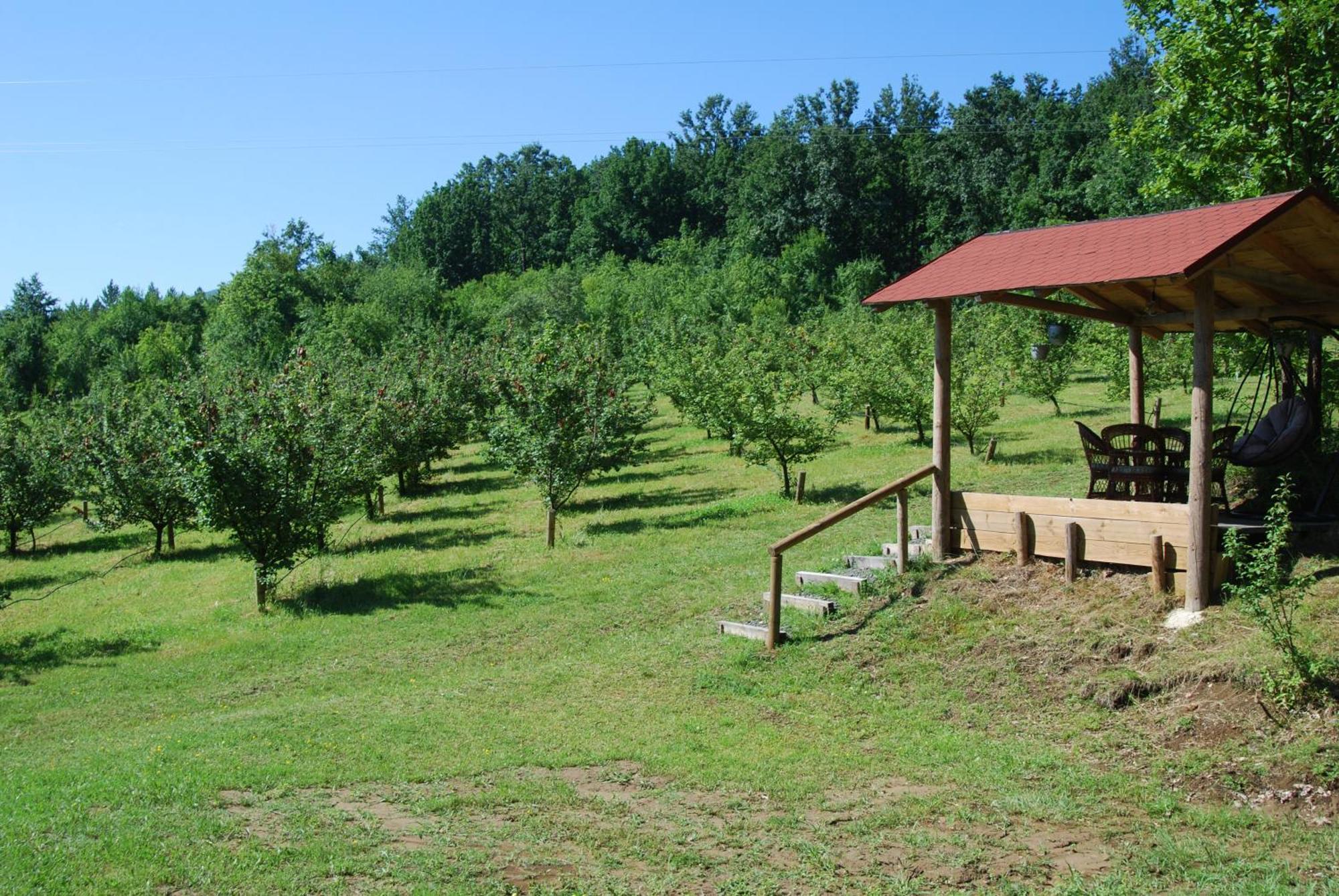Brvnare Dunja 1 I Dunja 2 Holiday home *