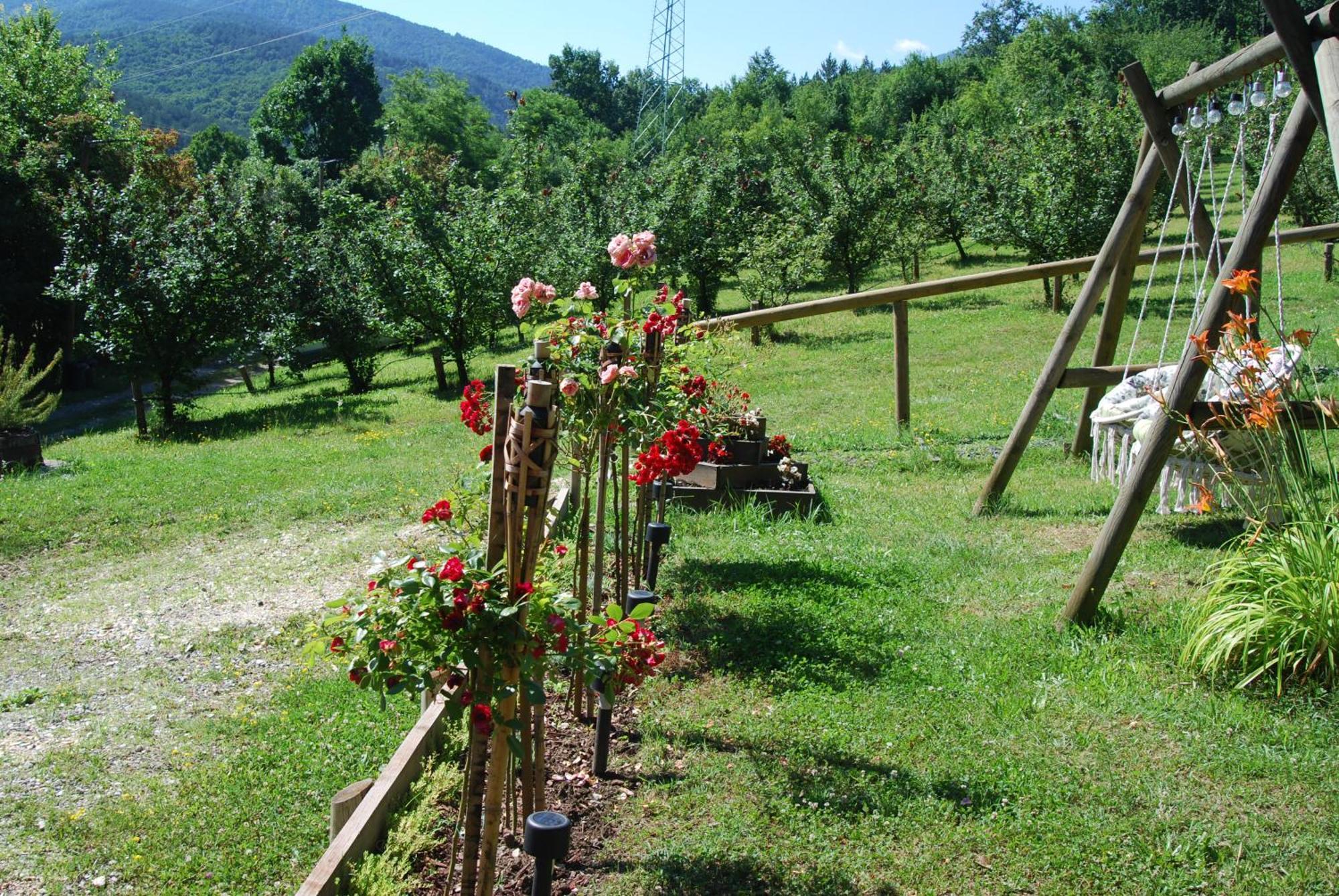 Brvnare Dunja 1 I Dunja 2 Holiday home Kraljevo