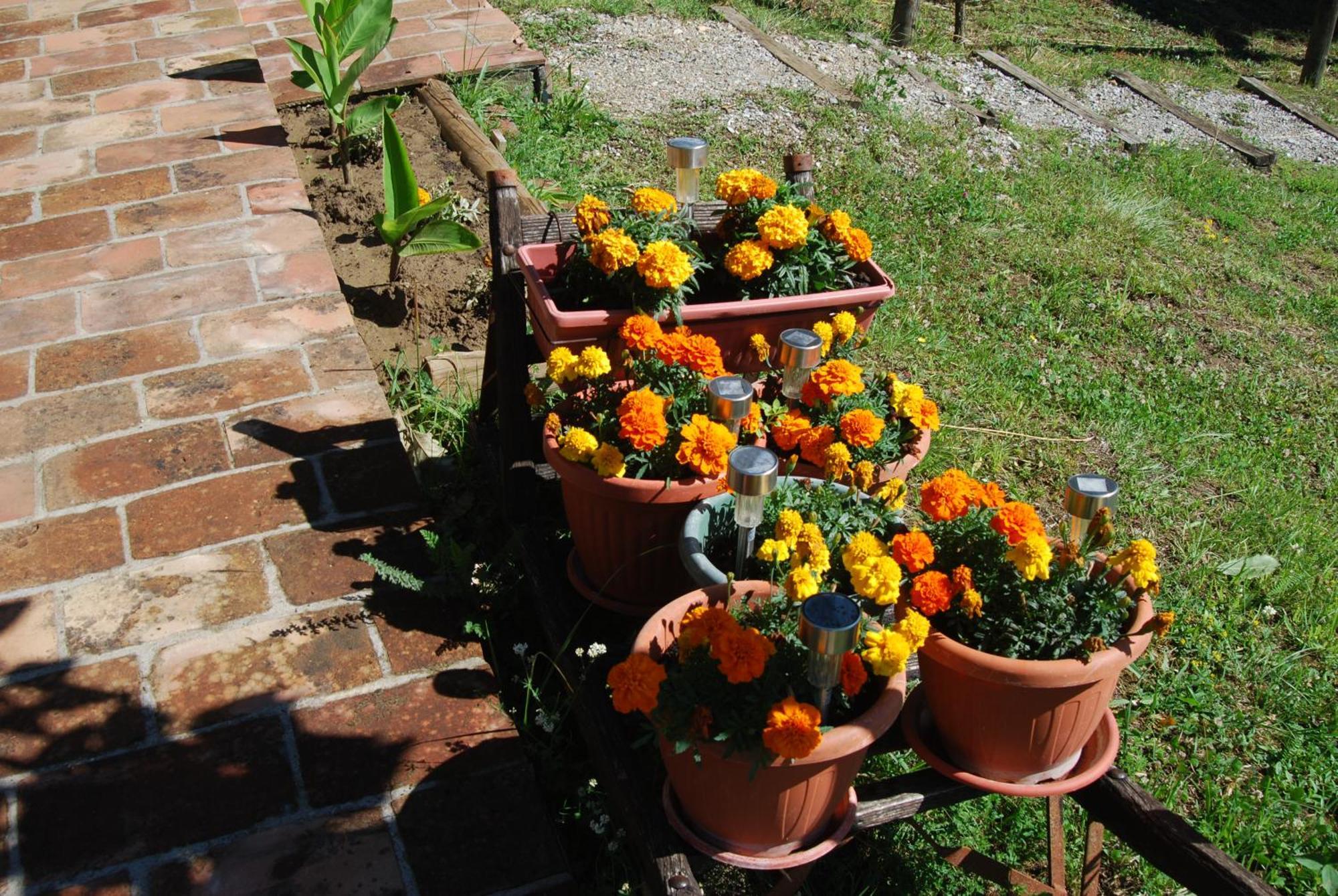 Casa vacanze Brvnare Dunja 1 I Dunja 2 *