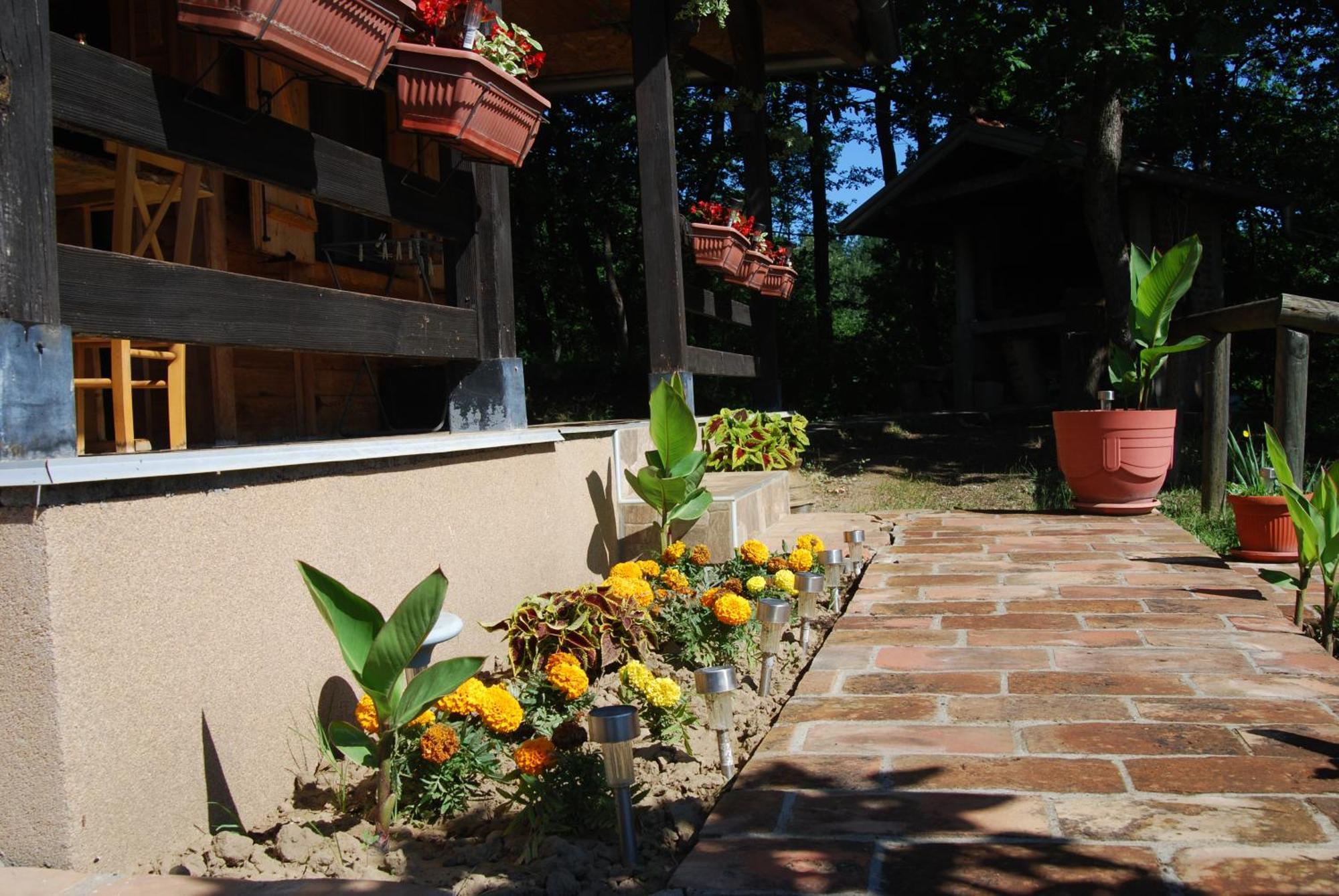 Brvnare Dunja 1 I Dunja 2 Holiday home Kraljevo