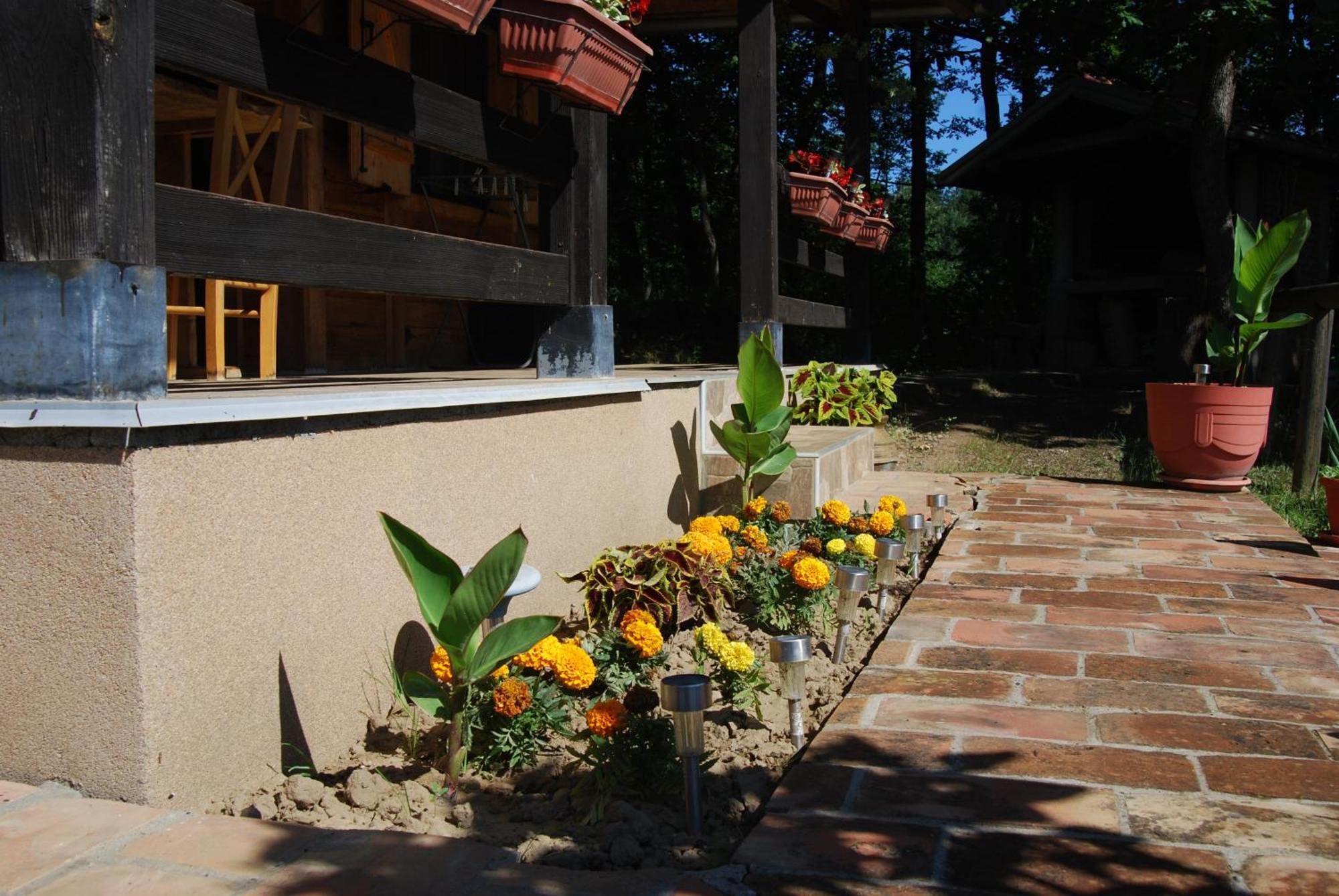 Brvnare Dunja 1 I Dunja 2 Holiday home Kraljevo