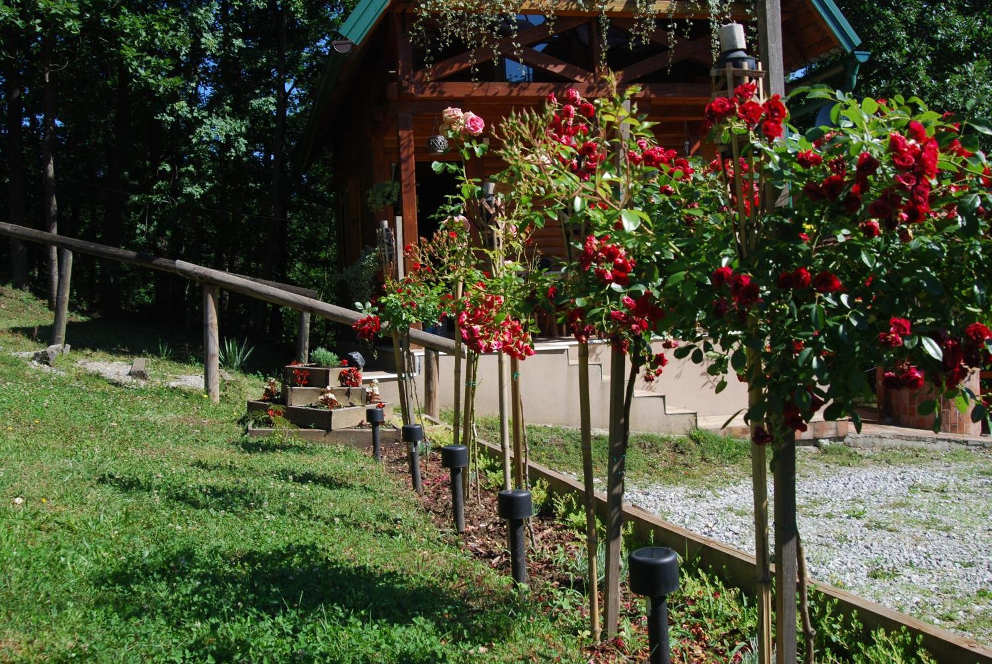 Brvnare Dunja 1 I Dunja 2 Holiday home *