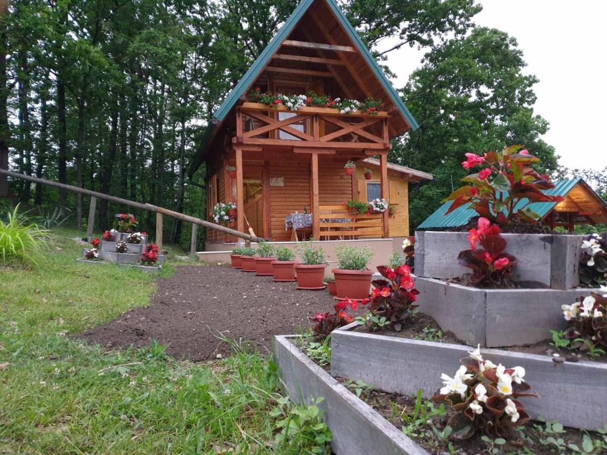 Brvnare Dunja 1 I Dunja 2 Holiday home *